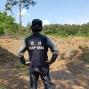 효심장묘 - 금산군 은행나무길 45 | 효심장묘