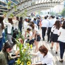 친환경 그린 가드닝 이미지