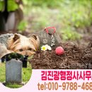 김진광 행정사 사무소 이미지