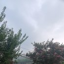 호박컨설팅