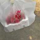 한산농장 | 전주 근교 딸기체험 대전 근처 논산 딸기따기체험 다나딸기농장