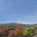 네바퀴여행 | [용인 한국민속촌] 가을단풍과 먹거리, 편안한 여행-한바퀴 돌아본 후기