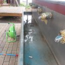 대송면 홍계숲 이미지