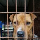 메이데이 이미지