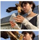 주작