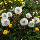 화개농장 이미지