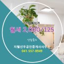 지웰2차공인중개사사무소 | 불당동 월세 2,000/125 - 지웰선우공인중개사사무소