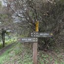 승학약수터 | 🏔️ 승학산 등산코스 후기 — 짧지만 알찬 3.9km 원점회귀 코스