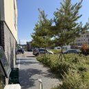 군산미장초등학교 | [군산] 미장동 부라타 잠봉 치아바타 맛집 “원픽티친”