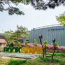 모야 이미지