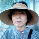 노당1리 네이버블로그