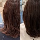 그루밍:담 | 찾았다! 정착하고싶은 합정 미용실 애채; 이지 디자이너님 아윤채클리닉 솔직후기