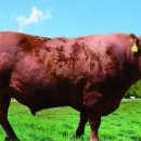 덕풍3농장 이미지