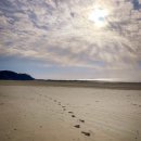 복지정비서부사업소 | [Section #1] 동서트레일 1-4구간 백패킹