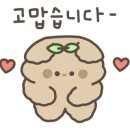 준오헤어 강남역화이트점 네이버블로그