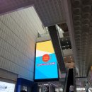 A1038 | 2021 코엑스 푸드위크 후기 🎈