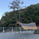 포레스트G1 이미지