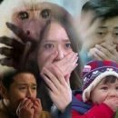 태영생막창목감점