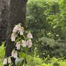 장수공원 이미지