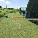 안산농장 이미지