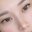 보네르 브로우