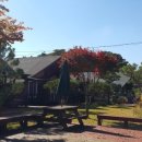 심스캐빈 이미지