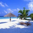 아름다운 꿈 이미지