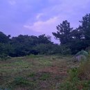 적음농장 이미지