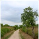 갈맷길(6코스) 이미지