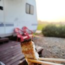 클럽레스피아in삽교바다공원 이미지