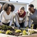 헬시플레저 이미지