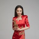 비너스나이트클럽 이미지