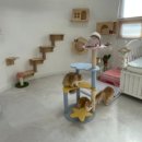 라온캐터리 이미지