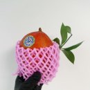 일로-3호 이미지