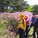 지리산 밸리팬션 이미지