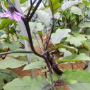 재영농장 이미지