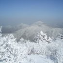 2월 정기여행 공지(평창 계방산) 이미지