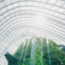 가든 오브 클라우드 이미지