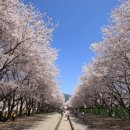 진해구 ⓒ-4 이미지