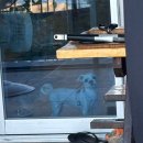 포항 씨클라우드 스파펜션 이미지