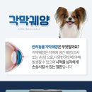 장안동물병원 이미지