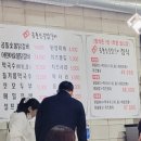 애견본가 티스토리