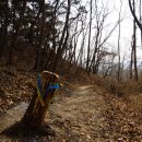 여강길(3-1코스 강천섬길) 이미지