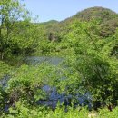 사곡1지 이미지