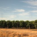 대별농장 이미지