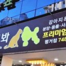 멍멍친구 애견샵 이미지