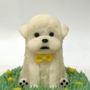 댕글로리 이미지