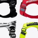 니즈더펫 이미지