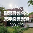 중명 정원 | 독채 펜션 감성 숙소 경주 중명 정원 방문 솔직 후기 feat. 내돈내산, 가족 여행, 아이들과 가볼만한...