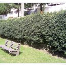 한국기독교선교박물관 이미지